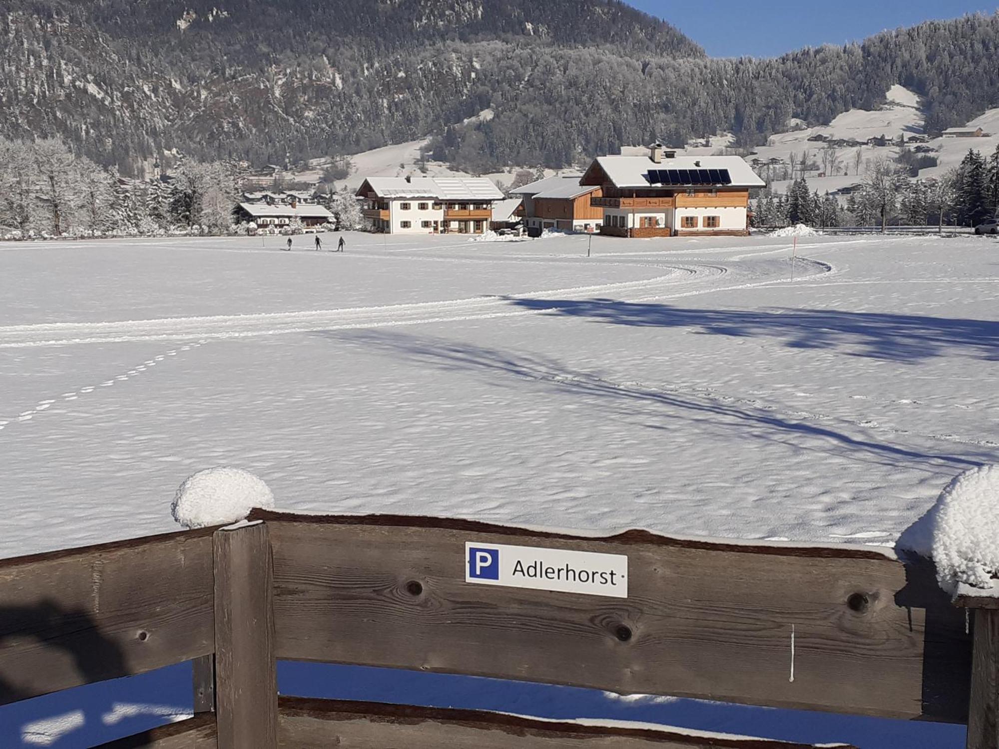 Ferienwohnung Adlerhorst Im Haus Lohrey Reit im Winkl Buitenkant foto